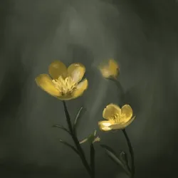 Dancing Blooms, #1/1