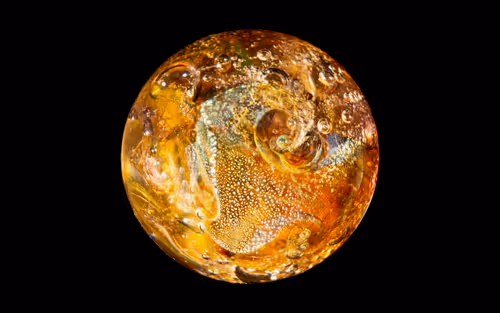 Item #54266520820874875911004119181556815792333680736518338943070460601008004268033 Media