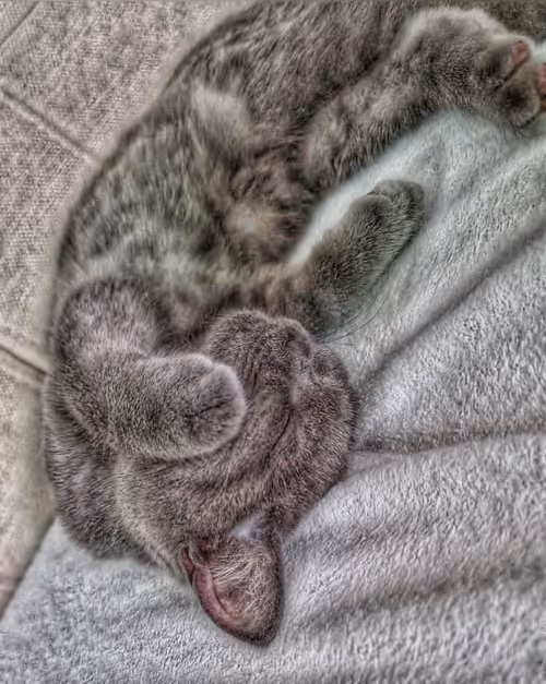 Item #54368346750715825108818200053303091829889046546154692603931558865403425849345 Media