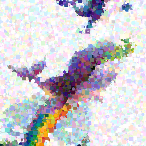 Flu, the minke whale who came to find the scent of flowers