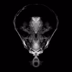 Alien Embryo - 238 of 2000