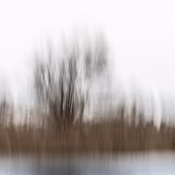 Art of Nature, Auslikon 202301-III