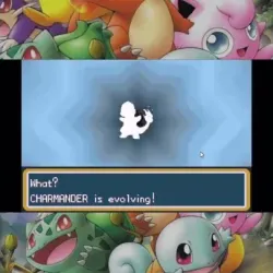 What? CHARMANDER is evolving! 