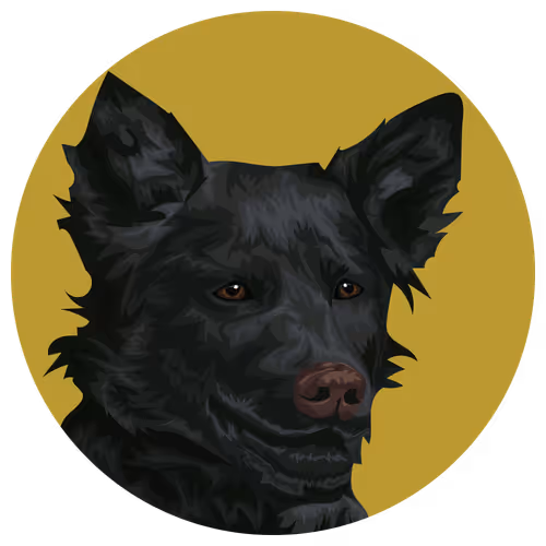 54766349128176429303044182404049584425310907481653304317570413998002541690881