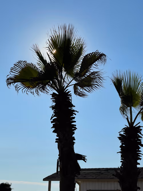 Item #106962716921335990762713992472161684452961633480742312471954214571132789456897 Media