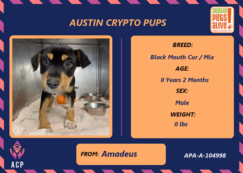 Item #17951378556605612276483806045649535824451571419947225201384628488661756805121 Media