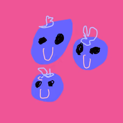 blueberry：ぶるーべりー