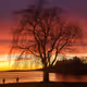 Fall sunset
