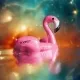 81884656467128464612476747228427639326519123021940071636999054822027386945537