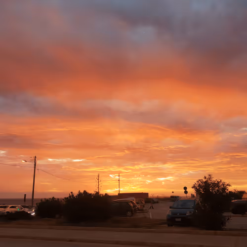 Untitled Collection #51123336