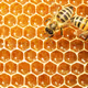 Honey_HFT Collection