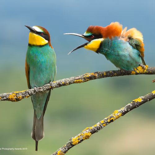 Untitled Collection #182484874