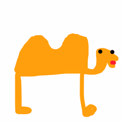 Camel
