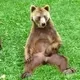 The best GIF in the World