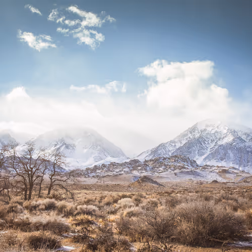 Untitled Collection #148334662 - old