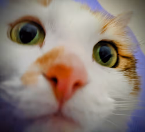 Item #87924857998356774886724281518897067263162542391878999738969177906242276818945 Media