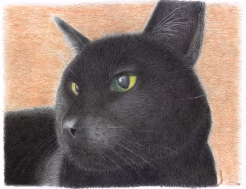 Item #42637134503210413736554040751793278975792637081874435392092565949120763658241 Media