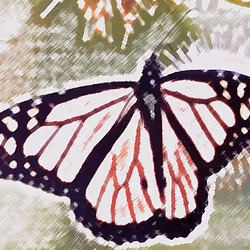 10162537437224382031479019658551907585229278444242708151782220023034674151425