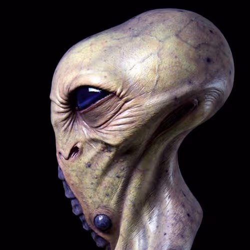 97107590523923761146299885224419256175613868444109951227489717501370778517505