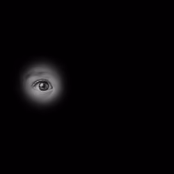 #007