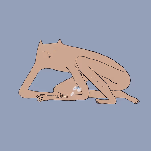 Item #21035381458708882562018857120027037173611101879388140006145820085468788686849 Media