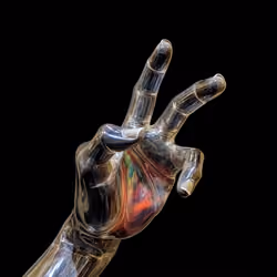 FOURTH HAND #198