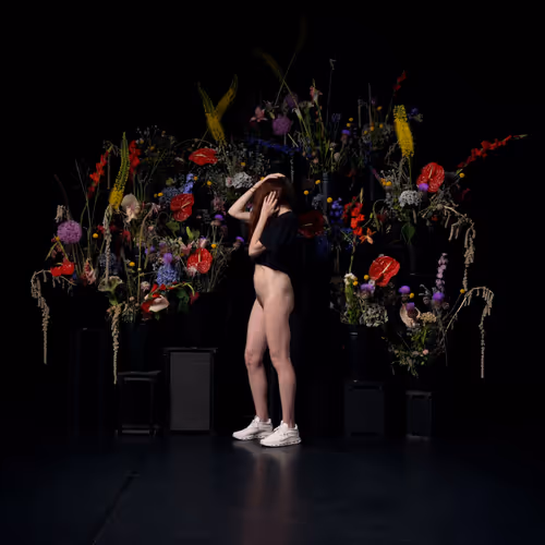 29225512278462627521798648337765154625875213490195303772458487984547969368065