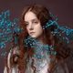 FrozenPortrait Collection