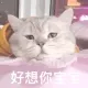 rrr36