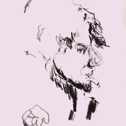 SwissArtGallery Collection - old