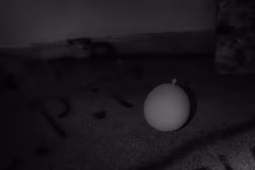 Item #82183435787039742687817407369025087190302189840279601090903984553943910842369 Media