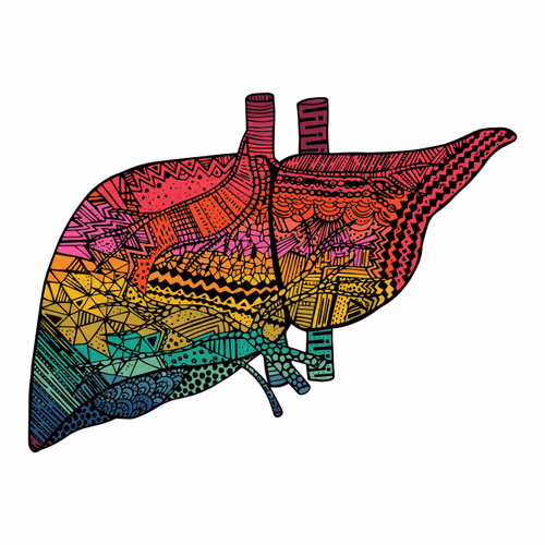Liver #1