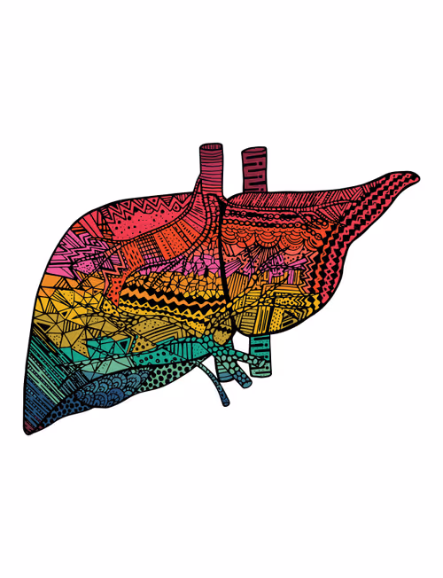 Item #28824502245252267217549902857601847351510039266873569823091148294269807099905 Media