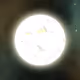 24926121294235554424883340785739679882464609688302768548898732745522254184449
