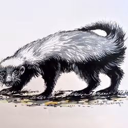 4288309145407295523431116215122397111529594114986911850026632783758643691720