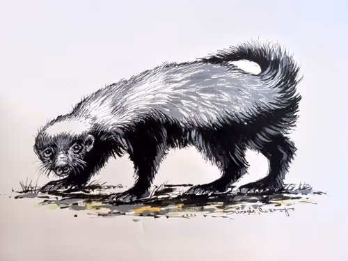 Item #4288309145407295523431116215122397111529594114986911850026632783758643691720 Media