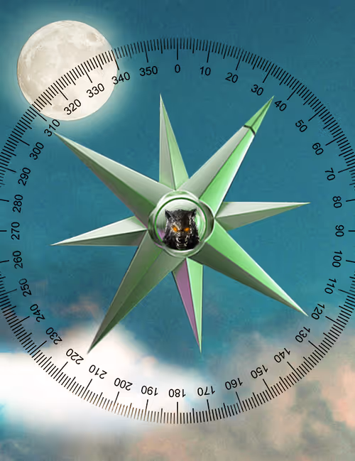 Item #54252931850304595306690029082721201445978313250689431385278468092583269629953 Media