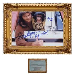 #006 Greg Evigan/BJ & the Bear