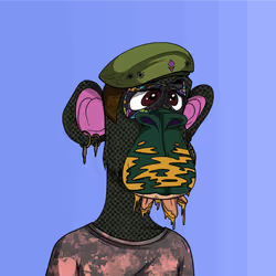 58908853164764665234215629469906415334070316588277770664231261828087904468993