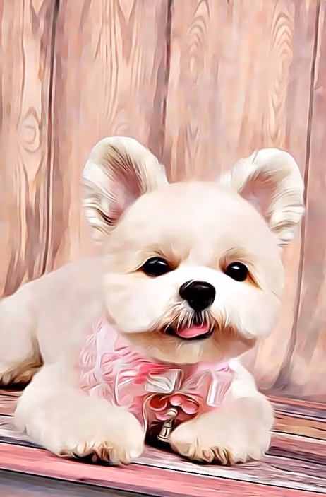 Item #21607923784025543658024067331009769919395041958272689574271021149648691658753 Media