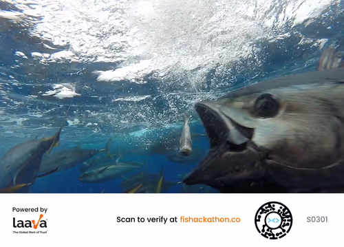 Item #75409383365909662742797353960547032942445262958910293626622653902119837368321 Media