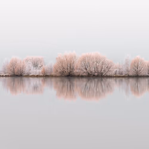 Winter | New Zealand | 2/9