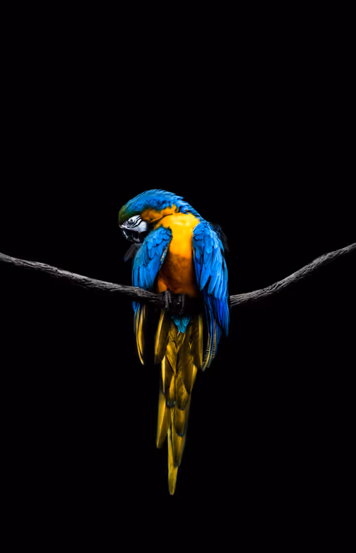 Item #95979719435638396747386199908027492606241793835179361379046606504908944310273 Media