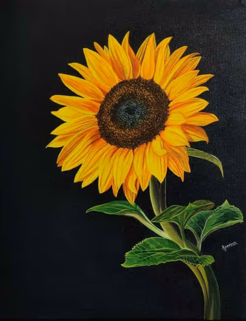 Item #74288292264172750425808747923032490922194508899109064874734171539680499073025 Media