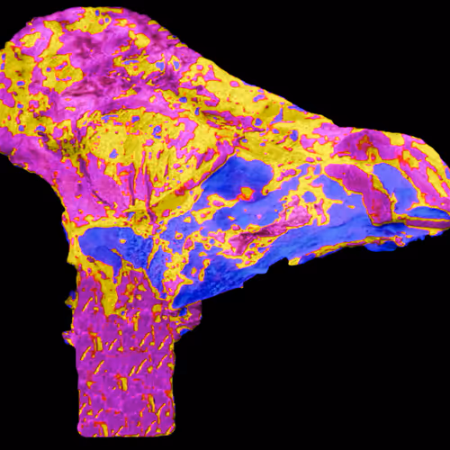 18063966590187803564983313972252836895288362682890717819958697153797417861121