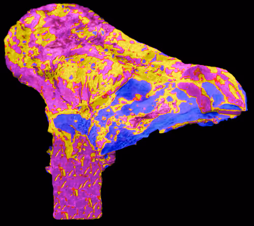 Item #18063966590187803564983313972252836895288362682890717819958697153797417861121 Media