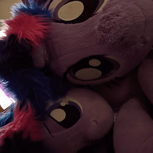 Photographs of a Twifag