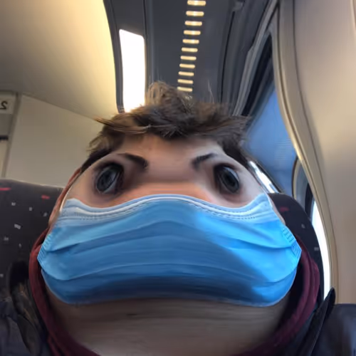 IRL Meta Frog