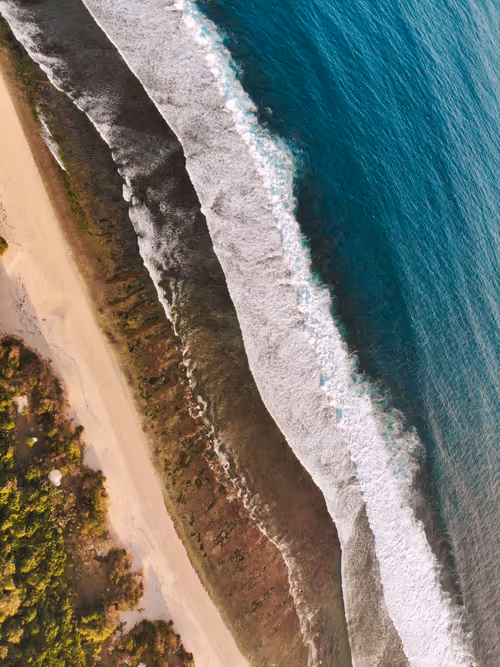 Item #112723081551128241243885468627012393474232760993682910355502264245128804696065 Media