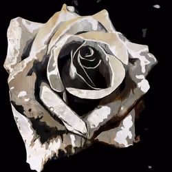 ROSEDI